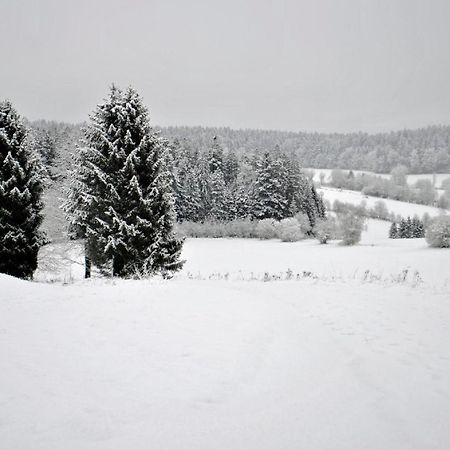 Apartmán Fewo Radi An Der Buchberger Leite Hohenau Exteriér fotografie