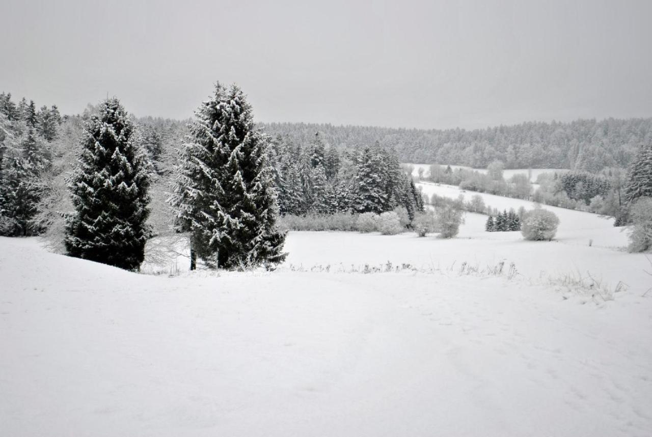 Apartmán Fewo Radi An Der Buchberger Leite Hohenau Exteriér fotografie