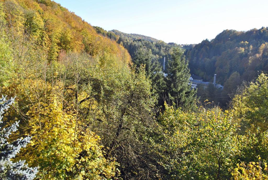 Apartmán Fewo Radi An Der Buchberger Leite Hohenau Exteriér fotografie