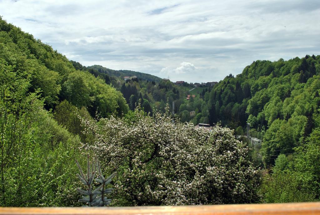 Apartmán Fewo Radi An Der Buchberger Leite Hohenau Exteriér fotografie