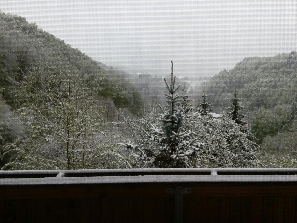 Apartmán Fewo Radi An Der Buchberger Leite Hohenau Exteriér fotografie