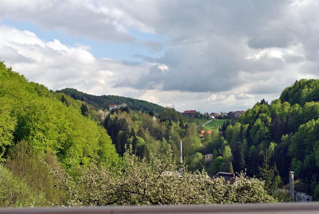 Apartmán Fewo Radi An Der Buchberger Leite Hohenau Exteriér fotografie